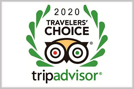 2020 Travelers Choice Award from Trip Advisor